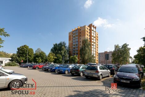 foto02_11380775_1musxg.jpg
