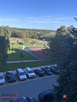 foto02_11382456_xpkw0.jpg