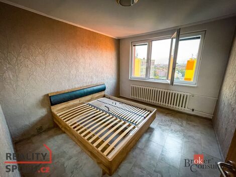 foto02_11383535_q7hz0.jpg