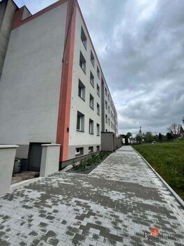 foto02_11396870_qkl9o.jpg