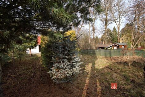 foto02_11414873_145vxg.jpg