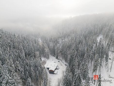 foto02_11420408_1mubyc.jpg