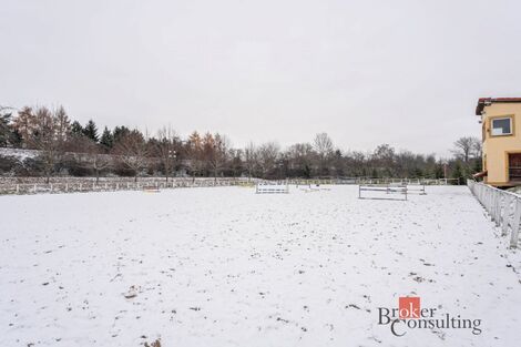 foto02_11424933_dswno.jpg
