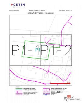foto02_11452923_p7bw.jpg