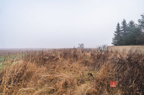 foto02_11458962_18j7cs.jpg