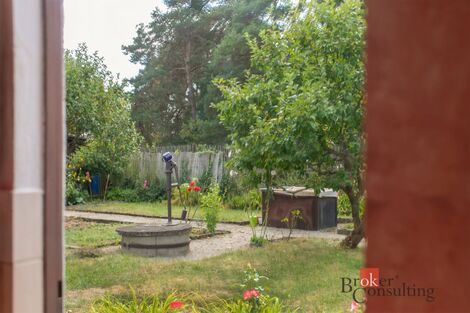 foto02_11469979_8ivlw.jpg