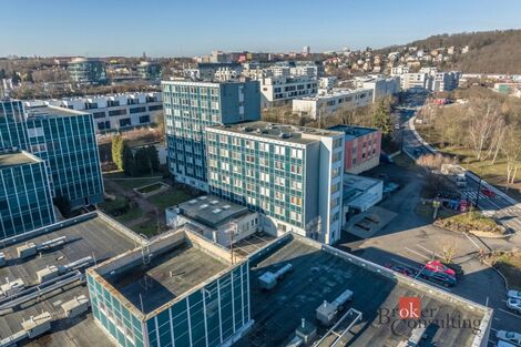 foto02_11472077_rak8.jpg