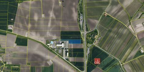foto02_11472430_1i711c.jpg