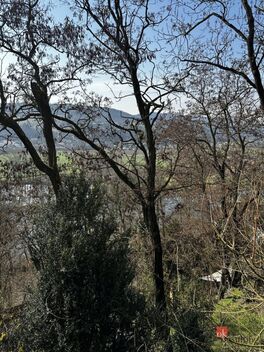 foto02_11472855_1jbea0.jpg
