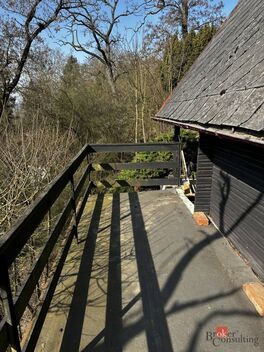 foto02_11472855_npq6k.jpg