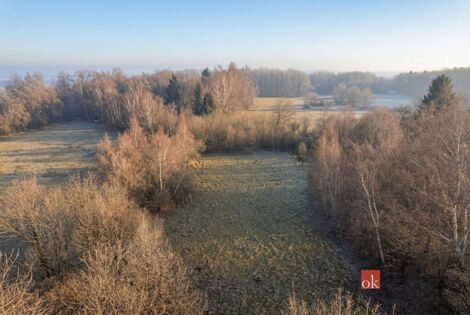 foto02_11473539_1fjcd0.jpg