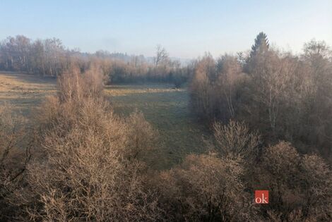 foto02_11473539_qk9jg.jpg
