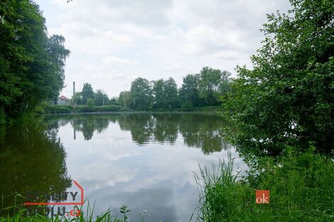 foto02_11477156_1ifayc.jpg