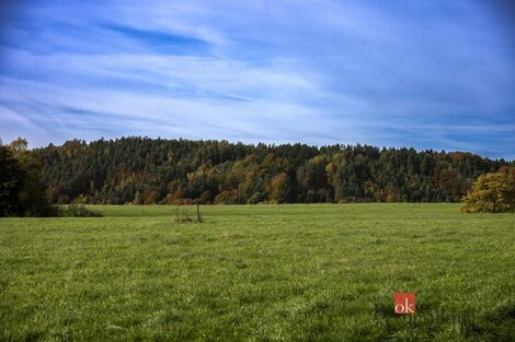 foto02_11478121_1fl7vk.jpg