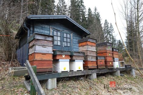 foto02_11479850_1go540.jpg