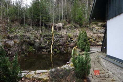 foto02_11479850_1l8fjg.jpg