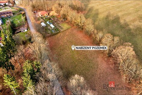 foto02_11482653_17g2y0.jpg