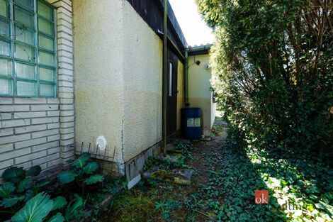 foto02_11486040_xefcg.jpg