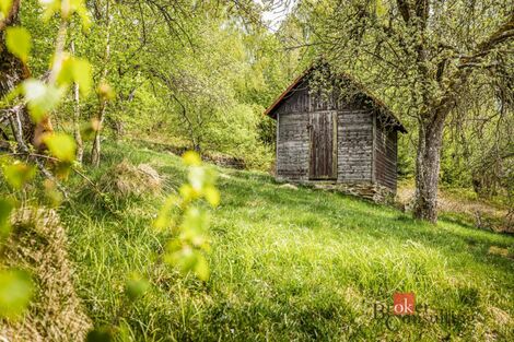 foto02_11492693_ov28.jpg