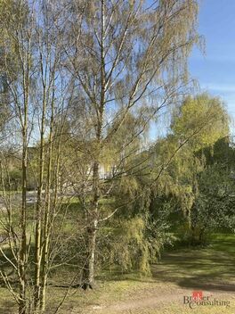 foto02_11497044_w7zn8.jpg