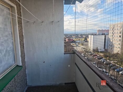foto02_11502939_1jnpn4.jpg