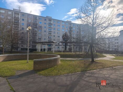 foto02_11502939_yovho.jpg