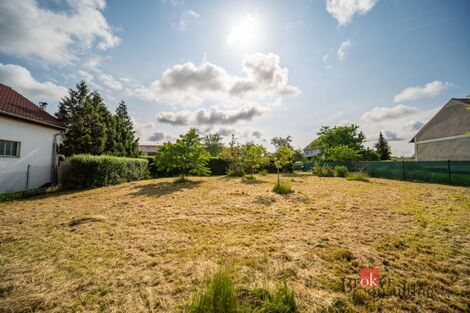 foto02_11514632_7wcng.jpg