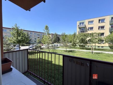 foto02_11515196_qtmt4.jpg