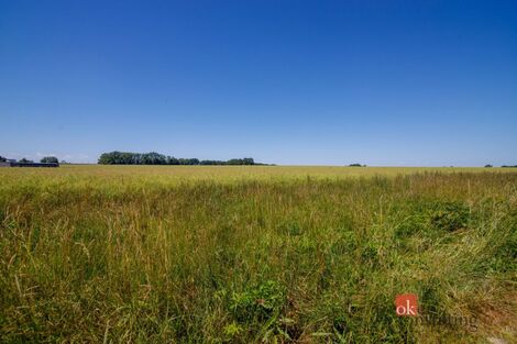 foto02_11518679_1lv0i4.jpg
