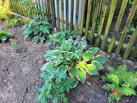foto02_11521757_utrmc.jpg