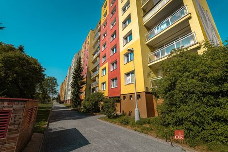 foto02_11523528_a3qr4.jpg