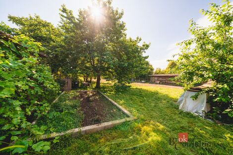 foto02_11529115_1mompg.jpg