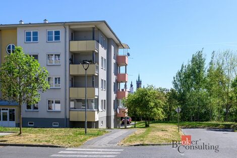 foto02_11533278_7isj8.jpg