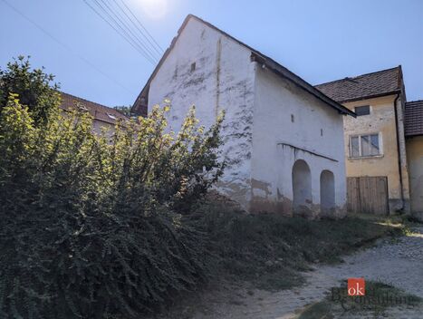 foto02_11536867_1monxw.jpg