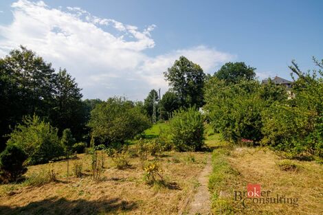 foto02_11536876_ejzfc.jpg