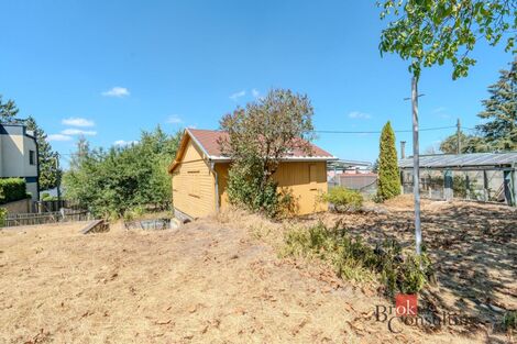 foto02_11540228_w0bhk.jpg