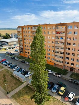 foto02_11543028_c6ye4.jpg
