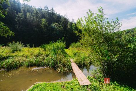 foto02_11545440_8he7o.jpg