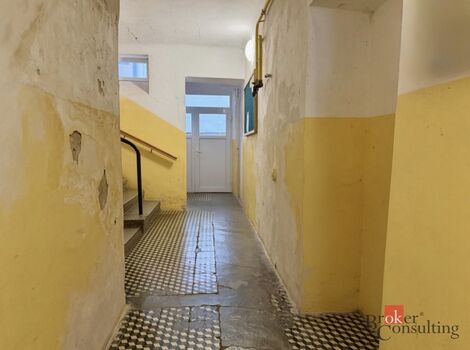 foto02_11545455_dz7fk.jpg
