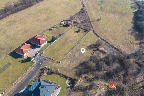 foto02_11549509_1b5uas.jpg
