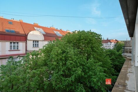 foto02_11550951_9stp4.jpg
