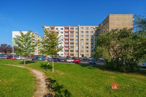 foto02_11559480_anj3k.jpg