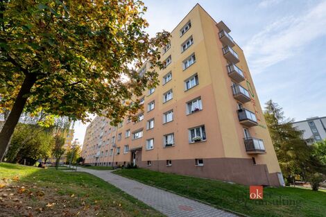 foto02_11560448_1fbxdw.jpg