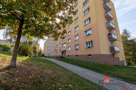 foto02_11560448_lkzdg.jpg