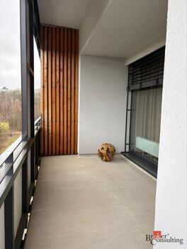 foto02_11560988_je5y8.jpg