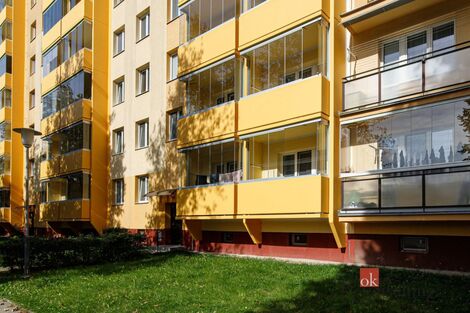 foto02_11563542_irxn4.jpg