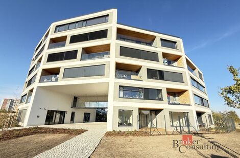foto02_11564458_1ikj2k.jpg