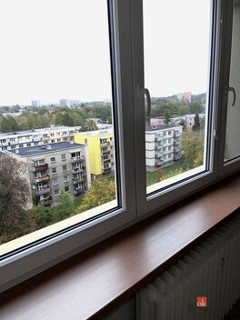 foto02_11566892_fc2ug.jpg