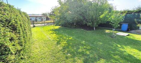 foto02_11364247_p7pp8.jpg