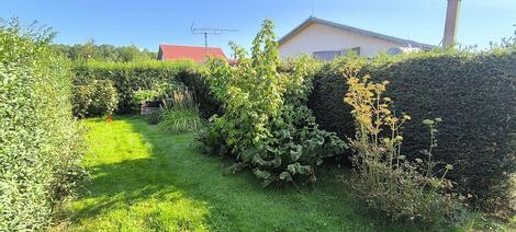 foto02_11509173_qjhrg.jpg